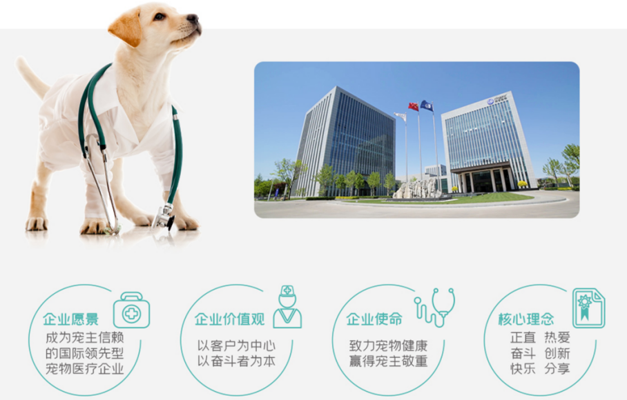 瑞派宠物×北森 | 6000人宠物医疗连锁巨头，如何搞定600家医院人力资源数字化整合？ - 知乎