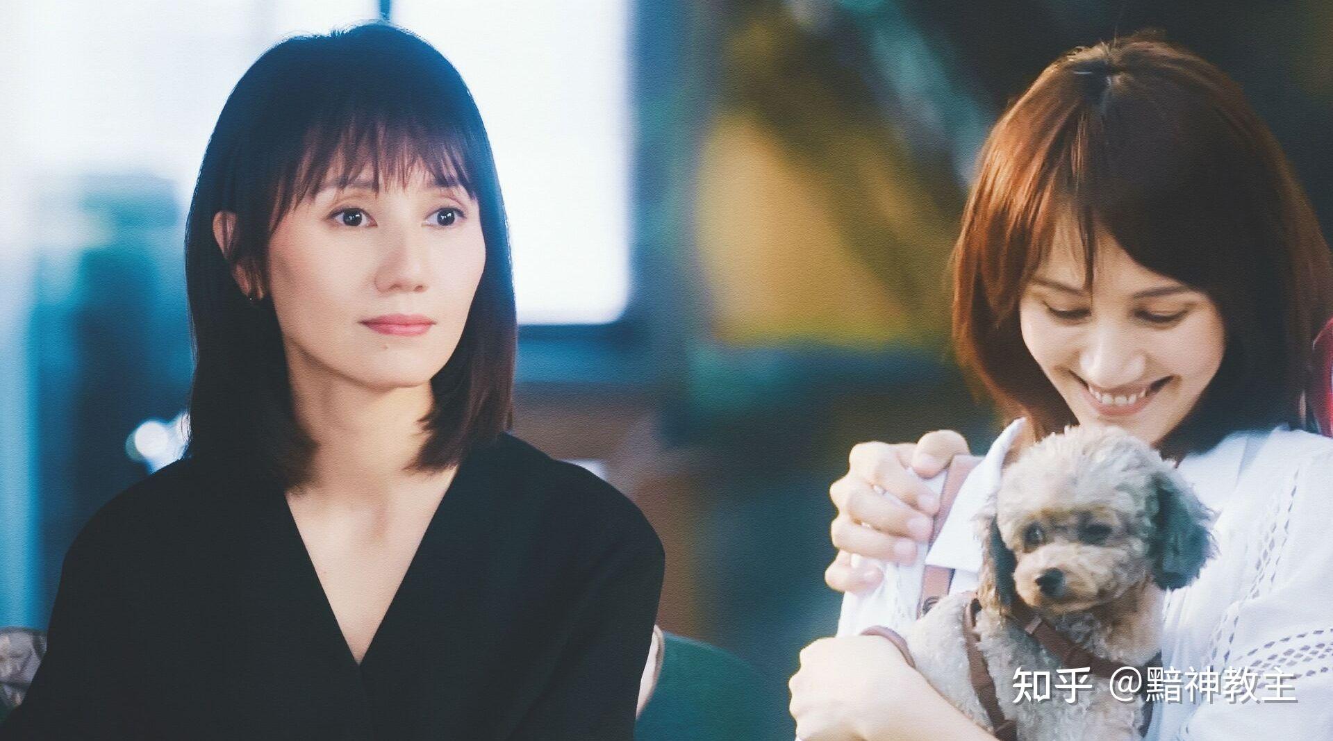 如何评价倪妮刘诗诗主演的电视剧流金岁月