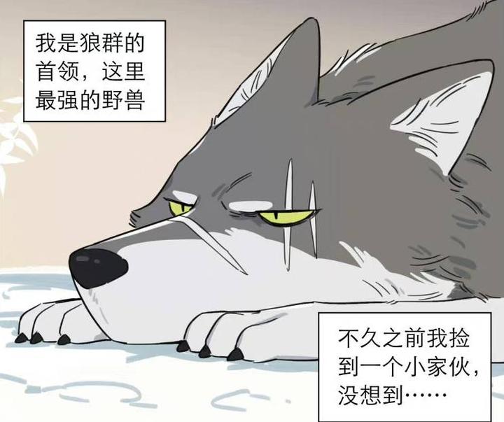 「漫画」狼王:寒冷的冬天