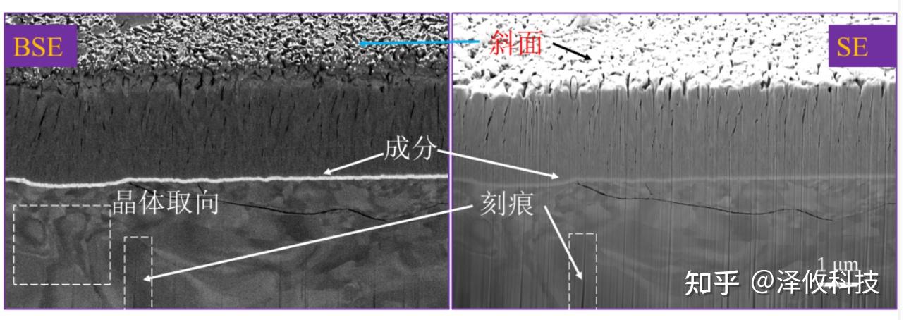泽攸科普——扫描电子显微镜（SEM）中背散射电子（BSE）和二次电子（SE）浅析 - 知乎