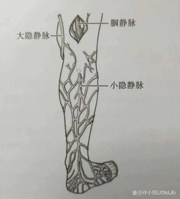 深部静脉炎中医效验良方