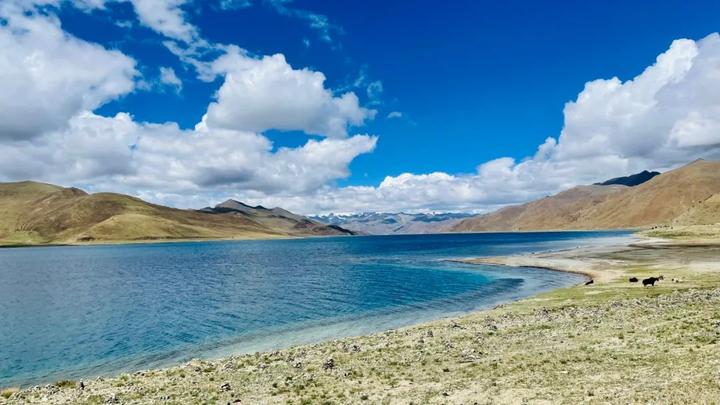 v2-2b51934a861c6534acf0d150b79d35b4_720w