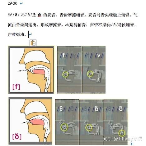 48个国际音标发音舌位图 - 知乎