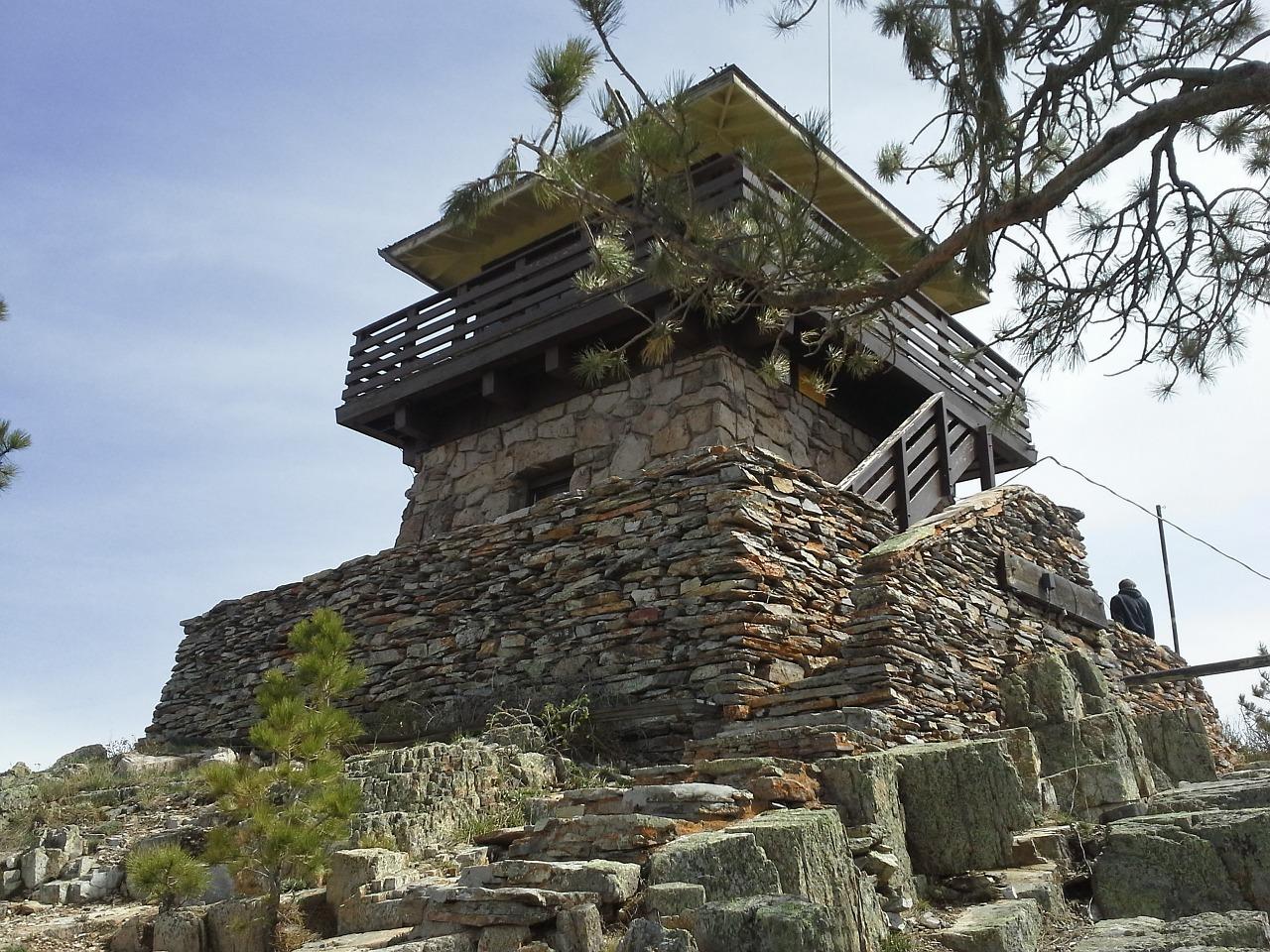 温县草坪哪家好