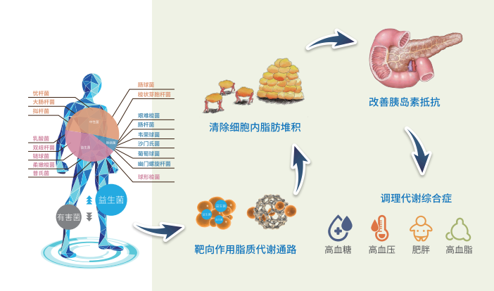 人为什么会得糖尿病什么样的人容易得糖尿病