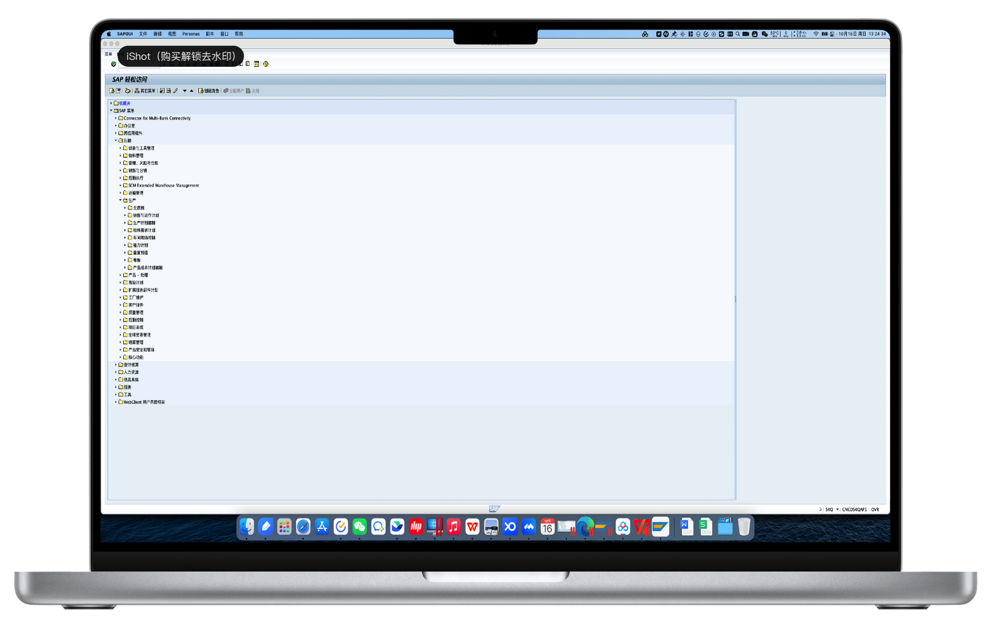 SAP GUI 780 FOR MACOS （针对ARM版本芯片作出了优化） - 知乎