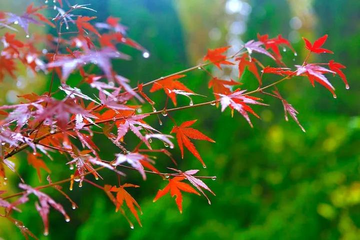 关于风雨的记忆 - 知乎