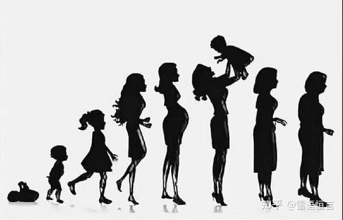 人的一生会经历哪几个阶段? - 知乎