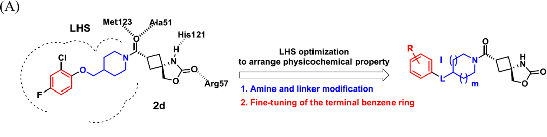 Lle Structure LLE-guided, Structure-based Optimization - 知乎