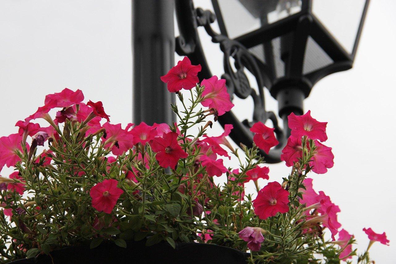 装修风格潮流推荐