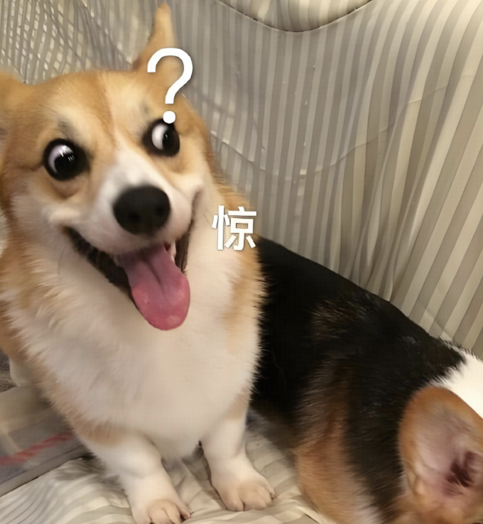 生活中人特别迟钝是怎样的体验？