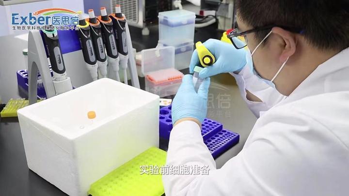 医思倍-动物细胞DNA提取实验操作流程及注意事项 - 知乎