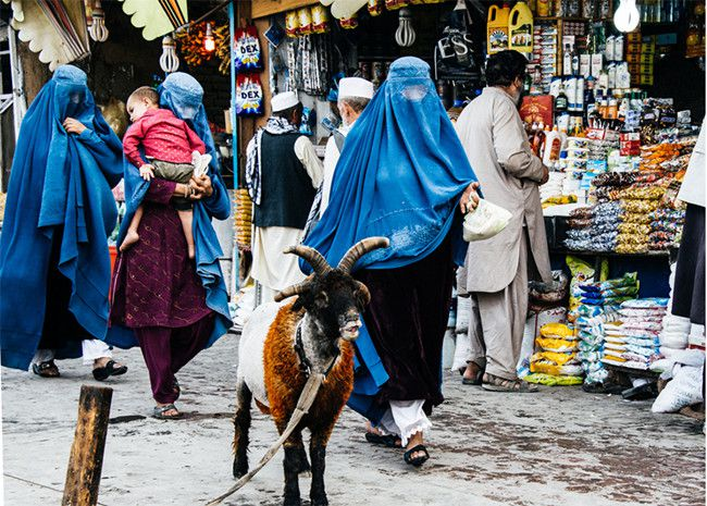 布卡——罩袍之下的自由