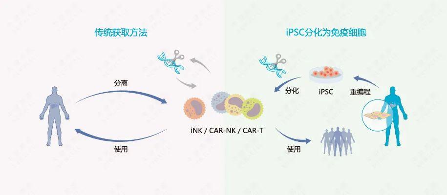 中盛溯源iPSC细胞治疗药物获批临床，iPSC技术风起 - 知乎