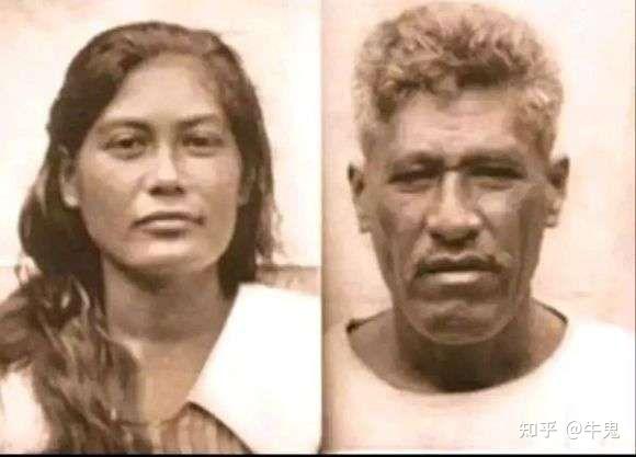 毛利人到底是从台湾还是澳大利亚迁徙的? 知乎