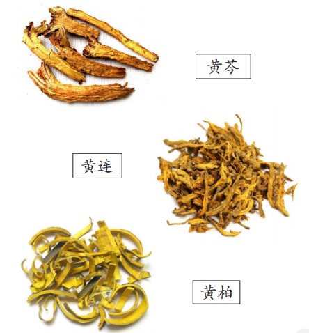 合集中药基础清热解毒说三黄