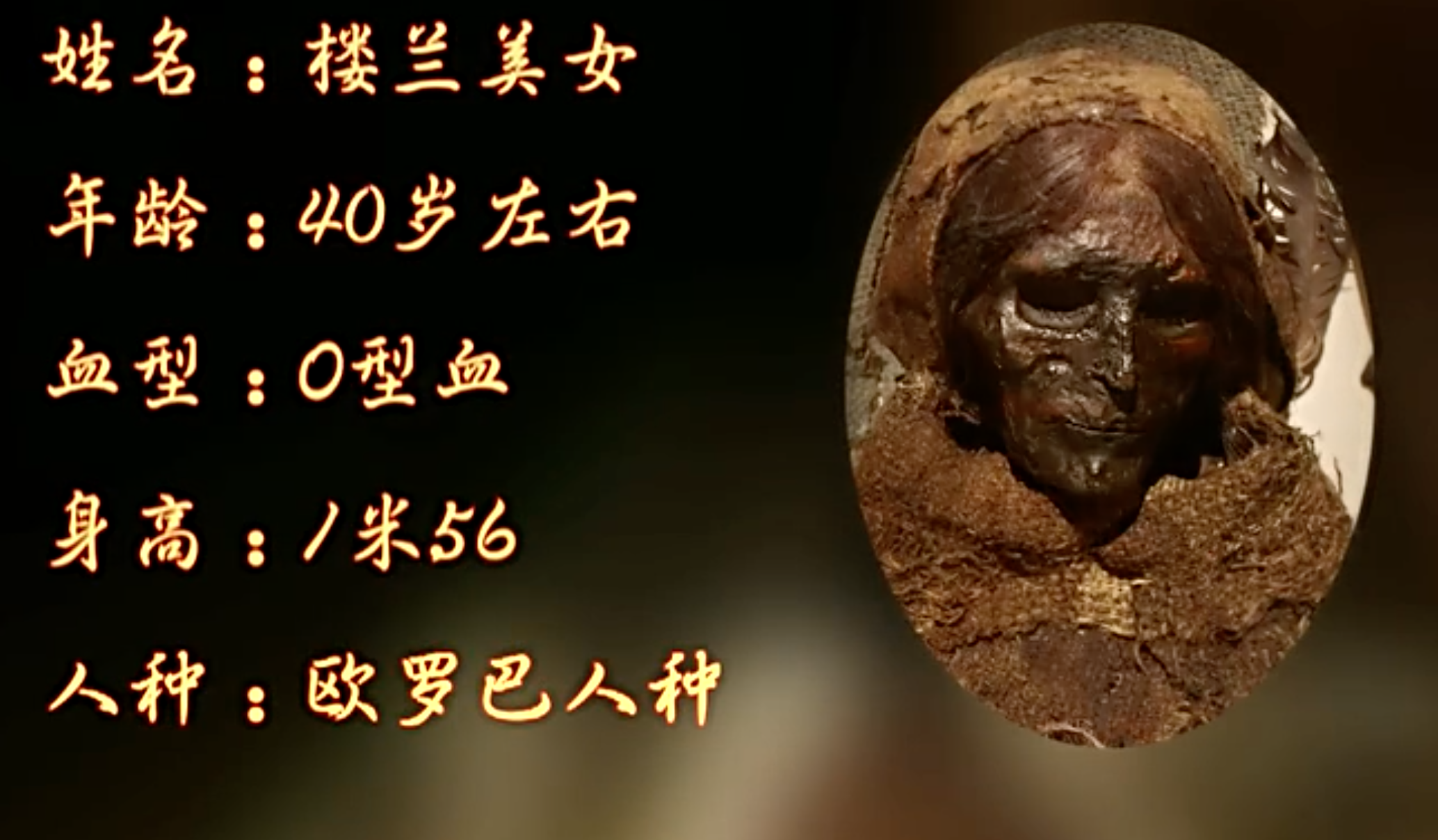 最美楼兰美女是什么身份啊