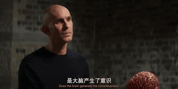 《扯淡生命史》笑到头掉,Netflix最扯纪录片太敢聊!