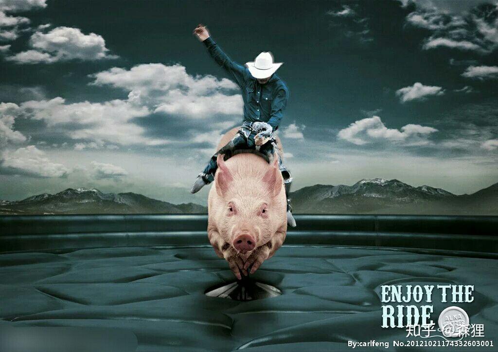 想学骑猪了咋办