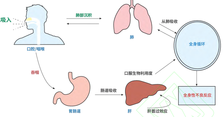 第205期 影响吸入药物在肺内运输与沉积的关键因素 - 知乎