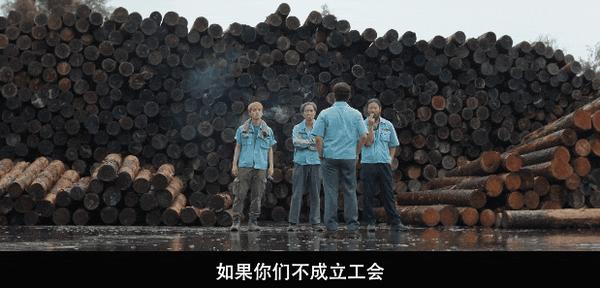 《无可奈何》口碑炸裂+横扫大奖，年度顶流爆款