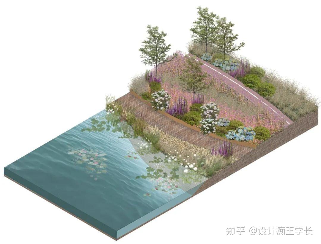 设计留学 | 植物分析与植物表现，都有哪些常见的形式？ - 知乎