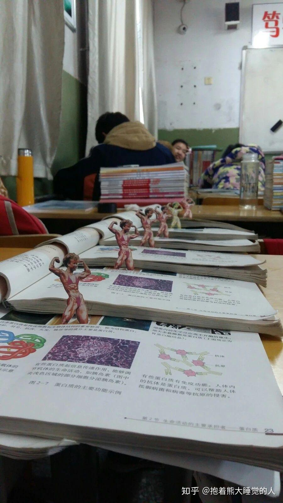 高中生物书上的那个肌肉女到底是谁
