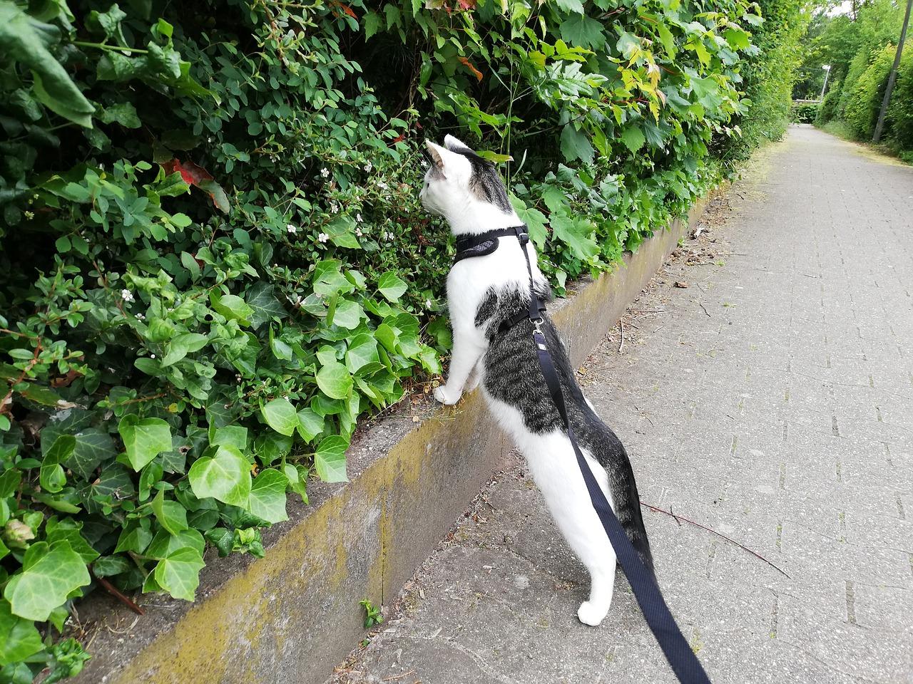 3. 合同条款解析