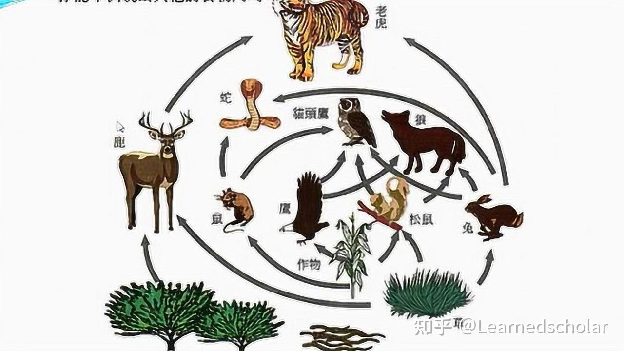 现代陆地生态系统是如何起源的？ - 知乎