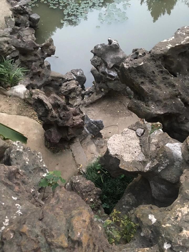 陈植先生与伯先公园 - 知乎