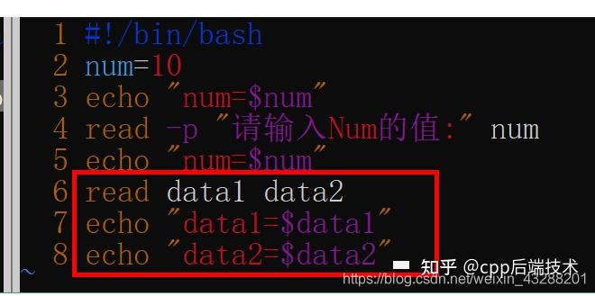 shell脚本语言(超全超详细) - 知乎