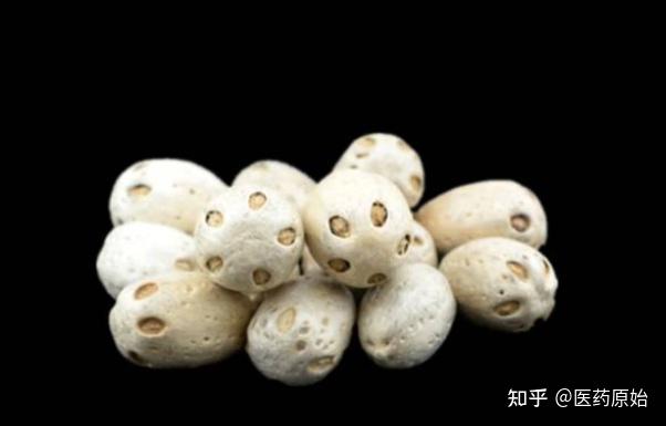 带你识别广枣 - 知乎