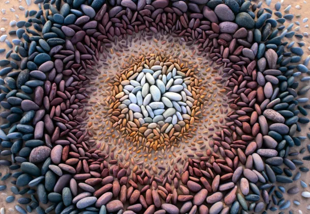 ibidi μ-Pattern 微区块表面 VI 0.4 六通道载玻片玩转指南（ibiTreat，cir500，pit1000，hex） - 知乎