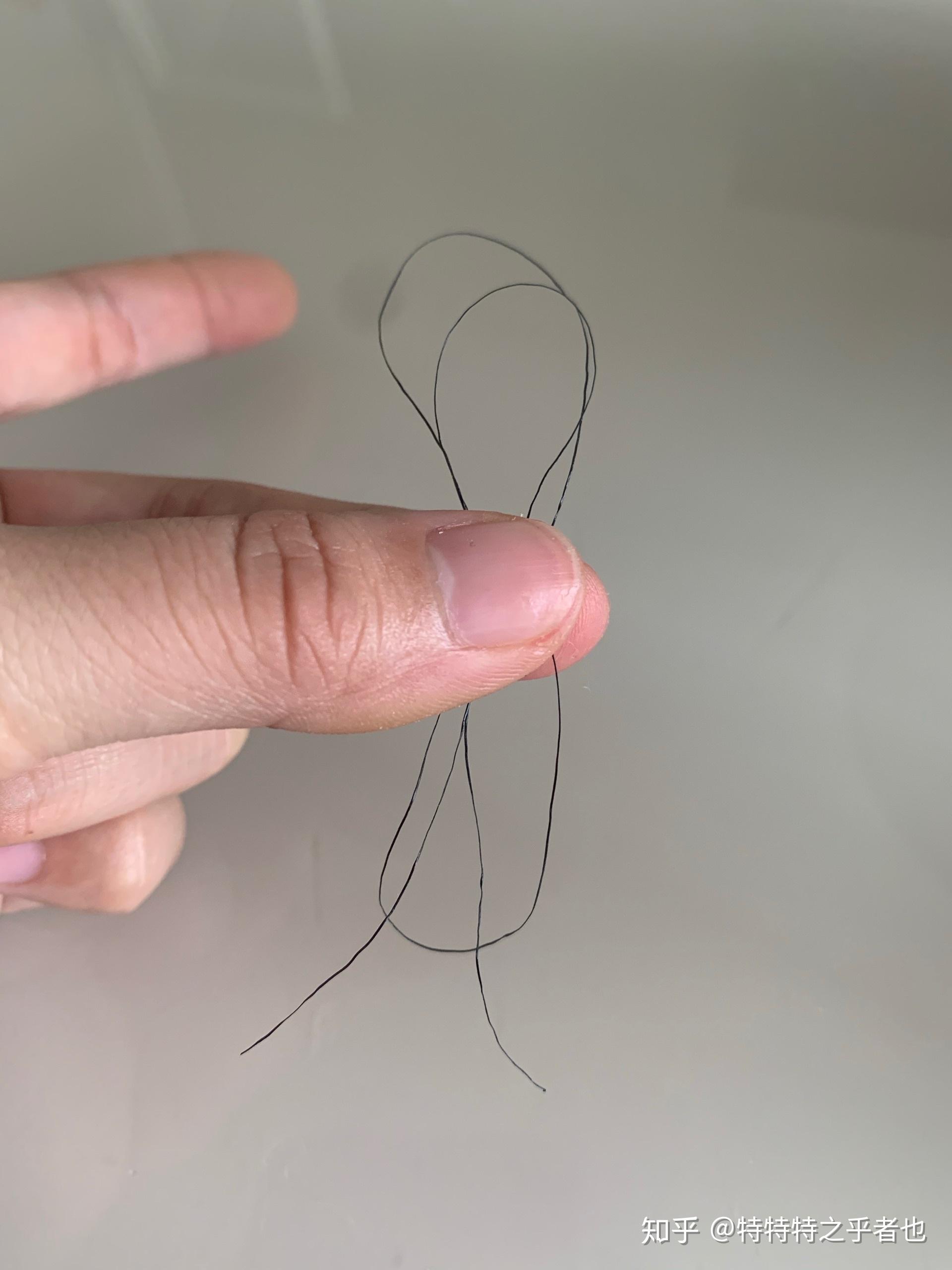 为什么一根头发会出现横截面粗细不均还弯弯曲曲