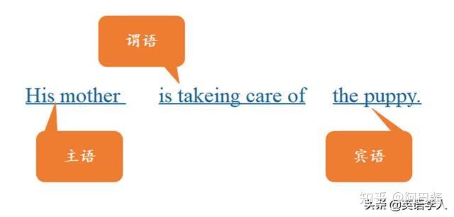 五大基本句型之主谓宾结构 - 知乎