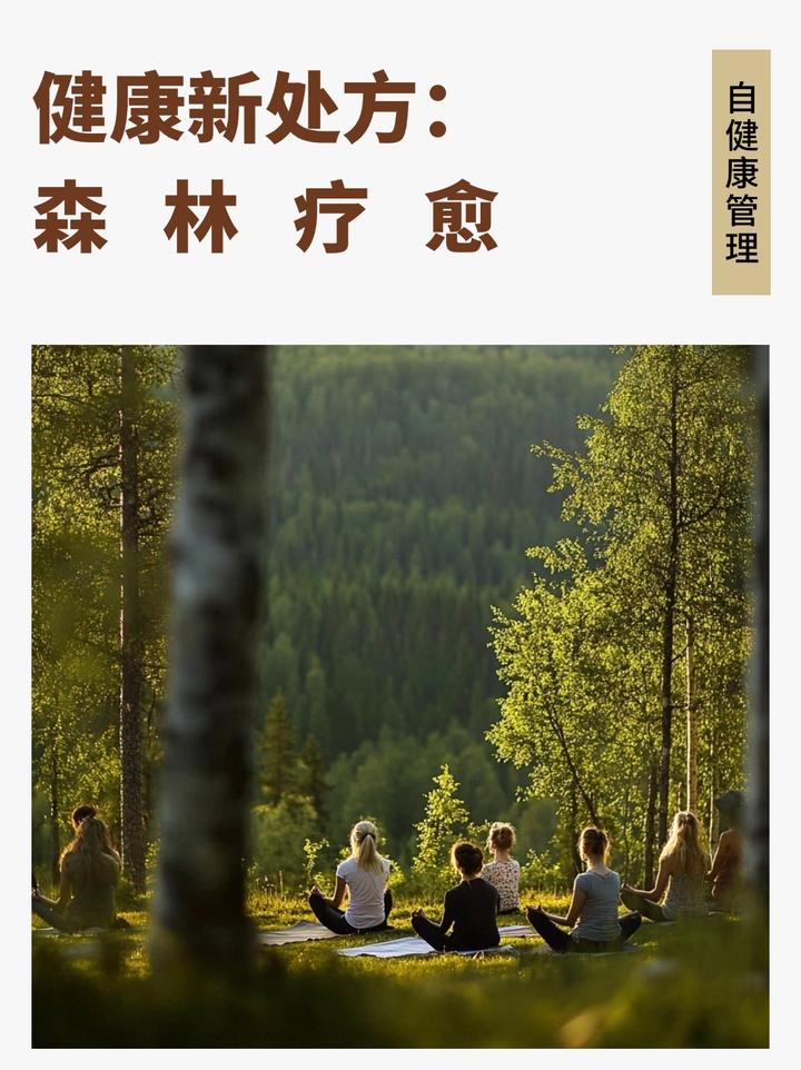 森林疗愈:东西方森疗大不同 - 知乎