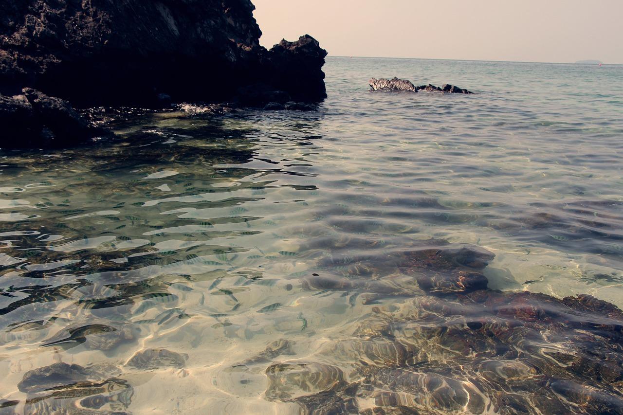 威海海水质量监测