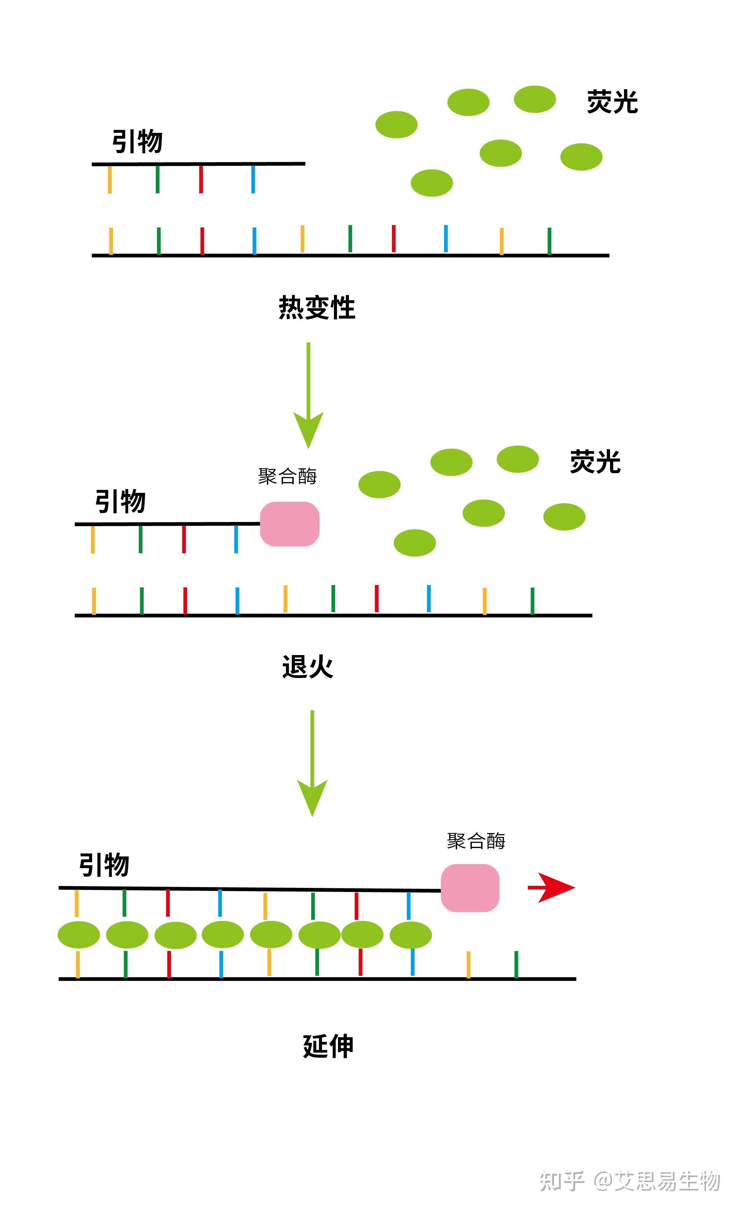 干货分享