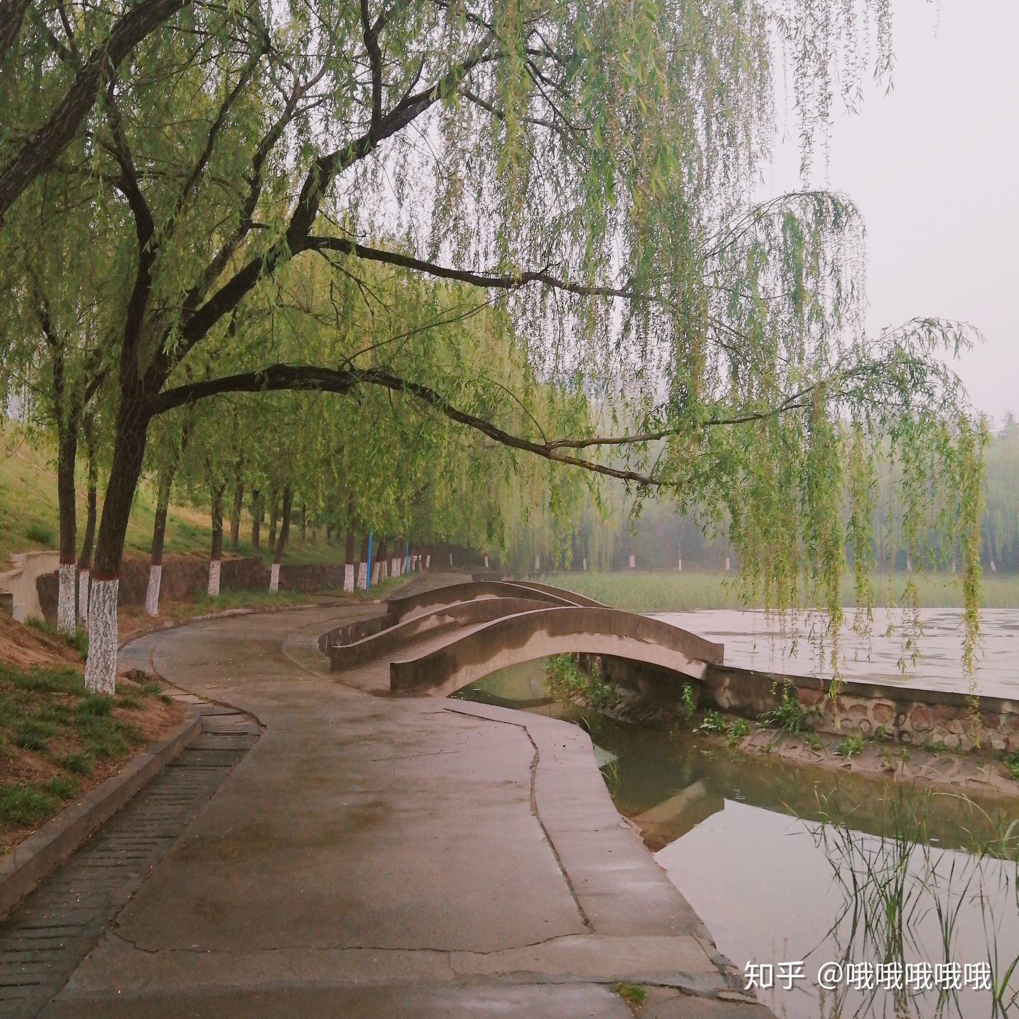 河南省经济技术学院毕业证（河南工程学院什么都教不了你,你来这里）