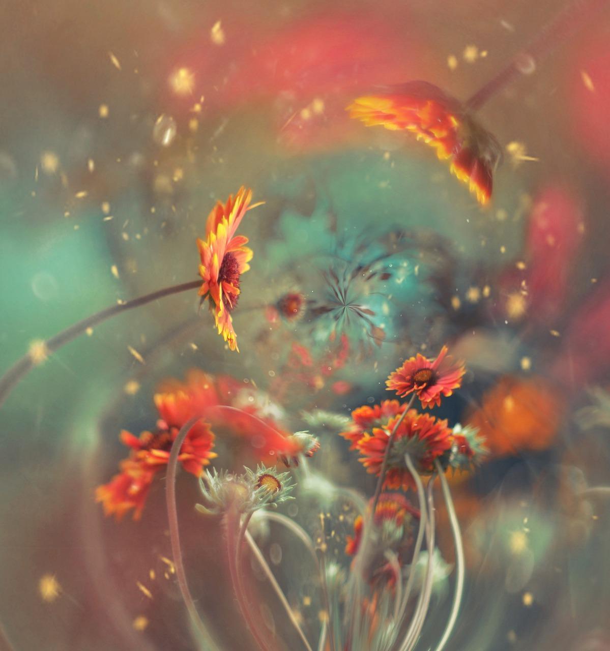 弹簧如何标注规格