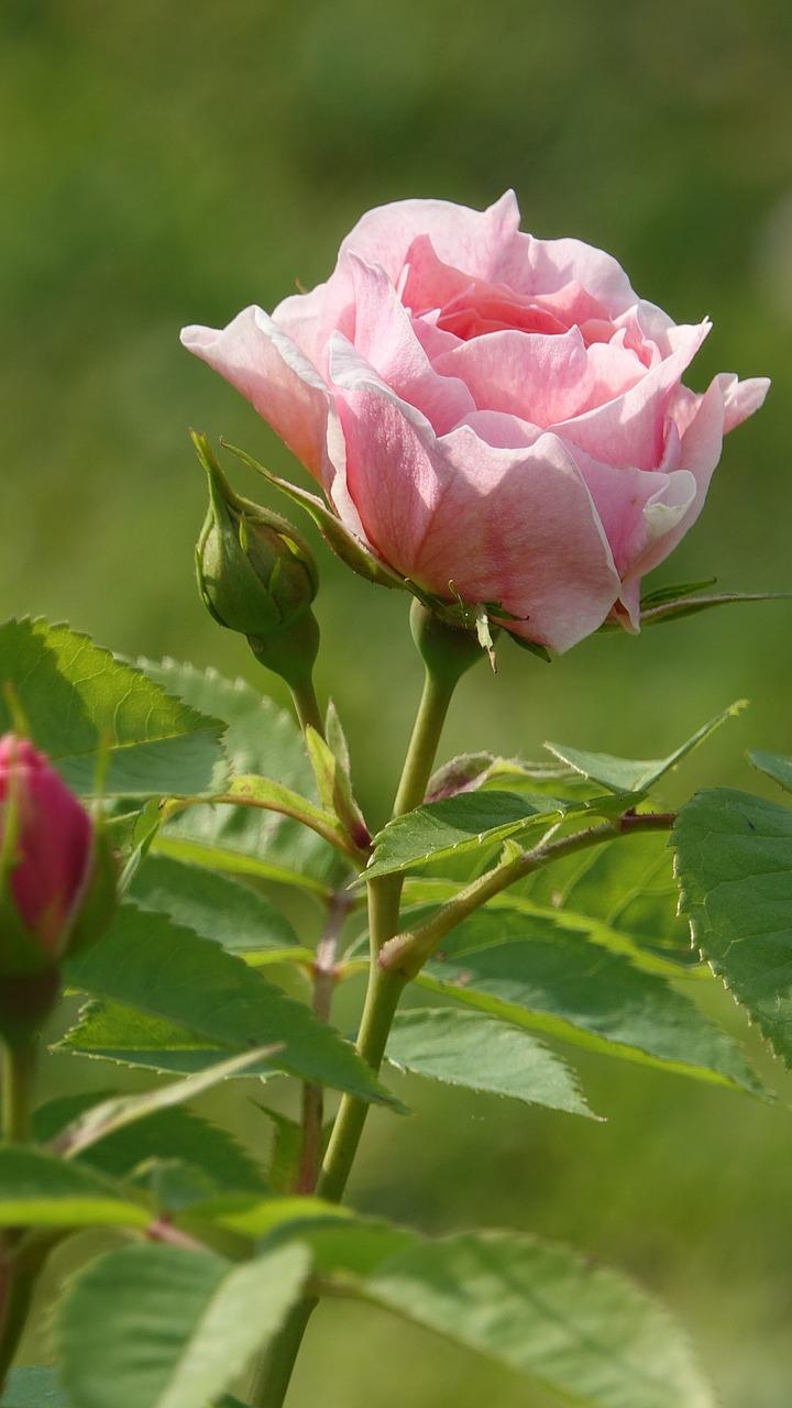 浅天蓝色搭配什么颜色