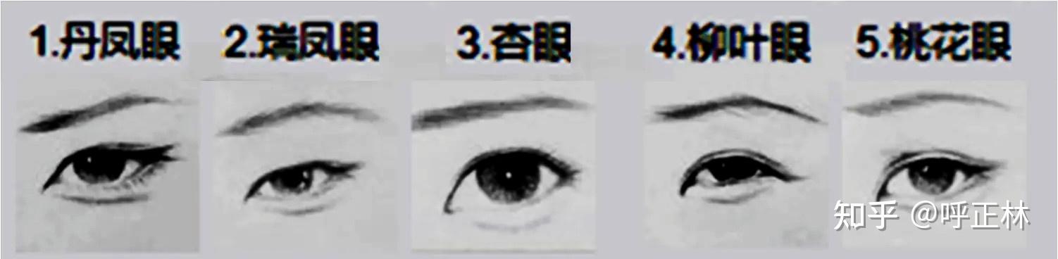 杏仁眼到底是什么样子的? - 知乎