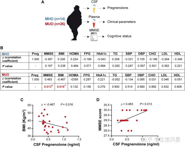 Cell Metabolism:肥胖会引起认知功能障碍,甚至是痴呆 - 知乎
