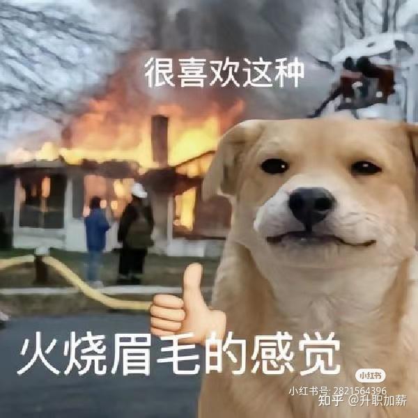 文科生长大以后会很辛苦吗