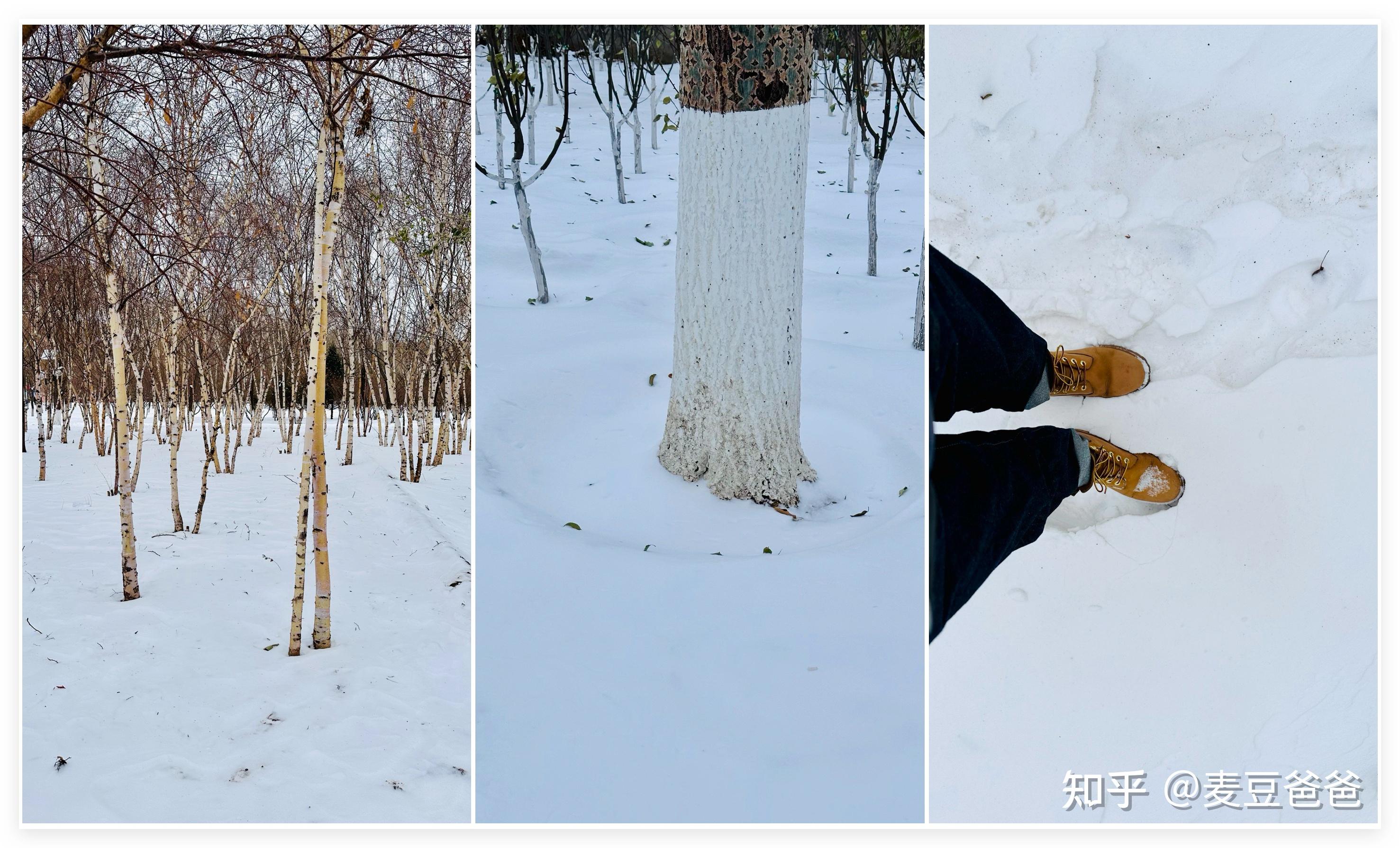 据说今年的冬天会特别的冷,冬日即将到来,有哪些是你必备的保暖好物?