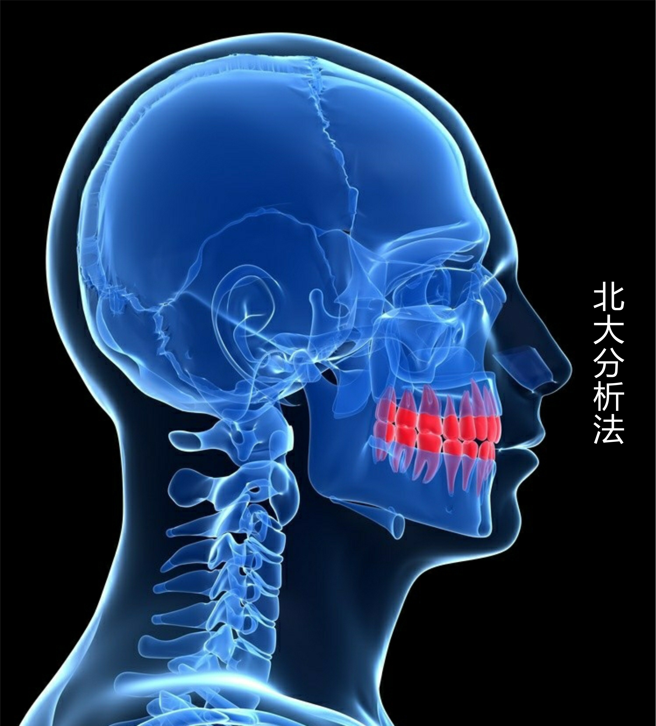 さらに値下げ！ 頭蓋骨調整法の診断とテクニック - 本