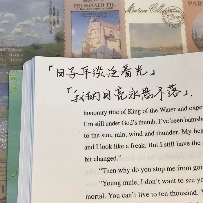 可以分享一下干净治愈温柔治愈的文案短句吗