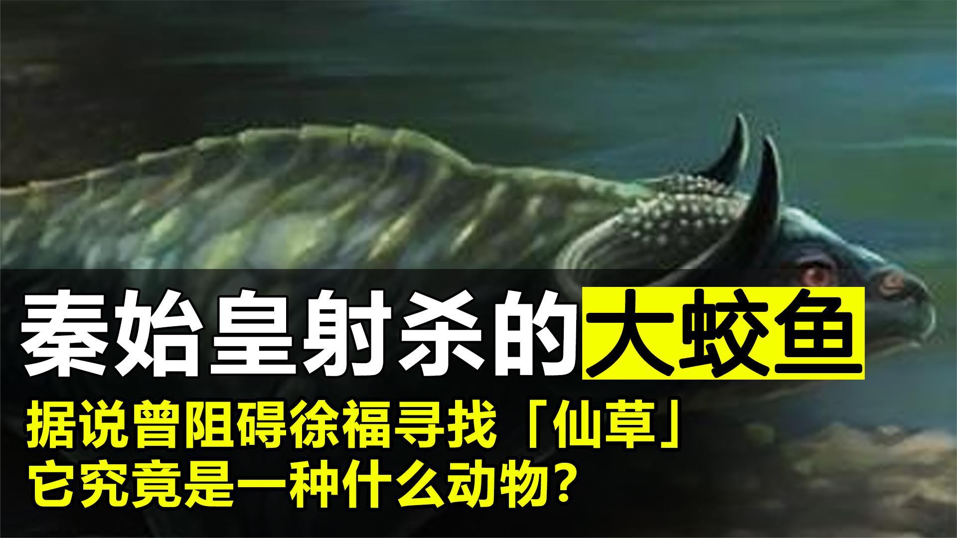 中国古代的蛟到底是什么?有何渊源? - 知乎