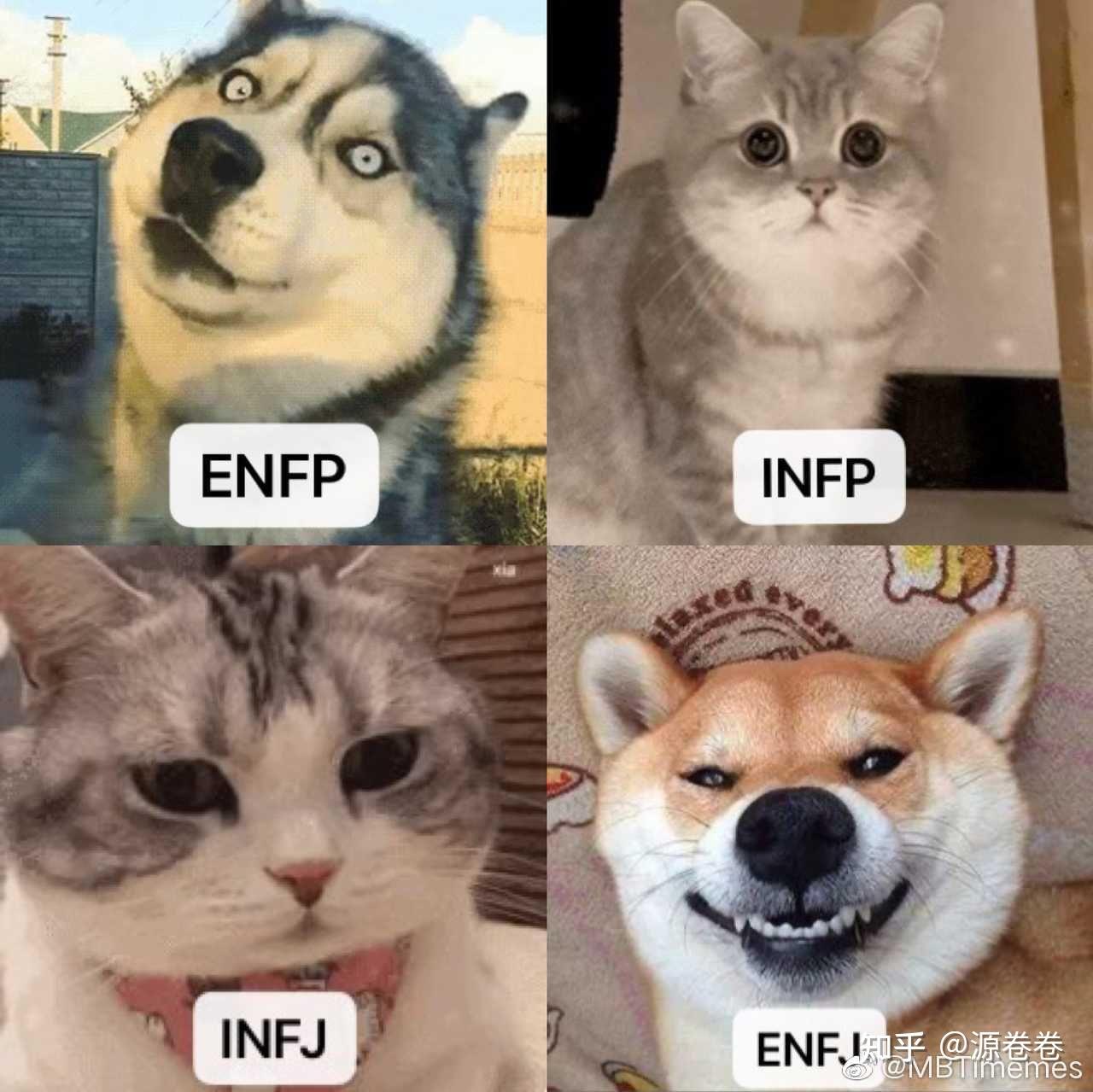 infp和infj區別是什麼?