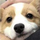 Zhihu profile picture for @thnh